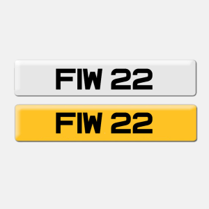 FIW 22