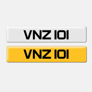 VNZ 101